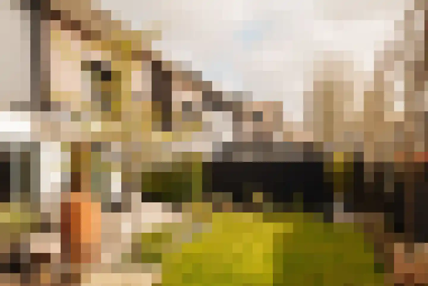 Spieringhof 18 Vijfhuizen thumbnail 11