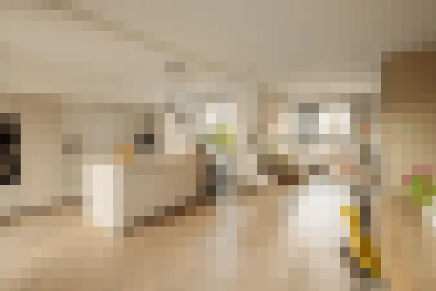 Spieringhof 18 Vijfhuizen thumbnail 16