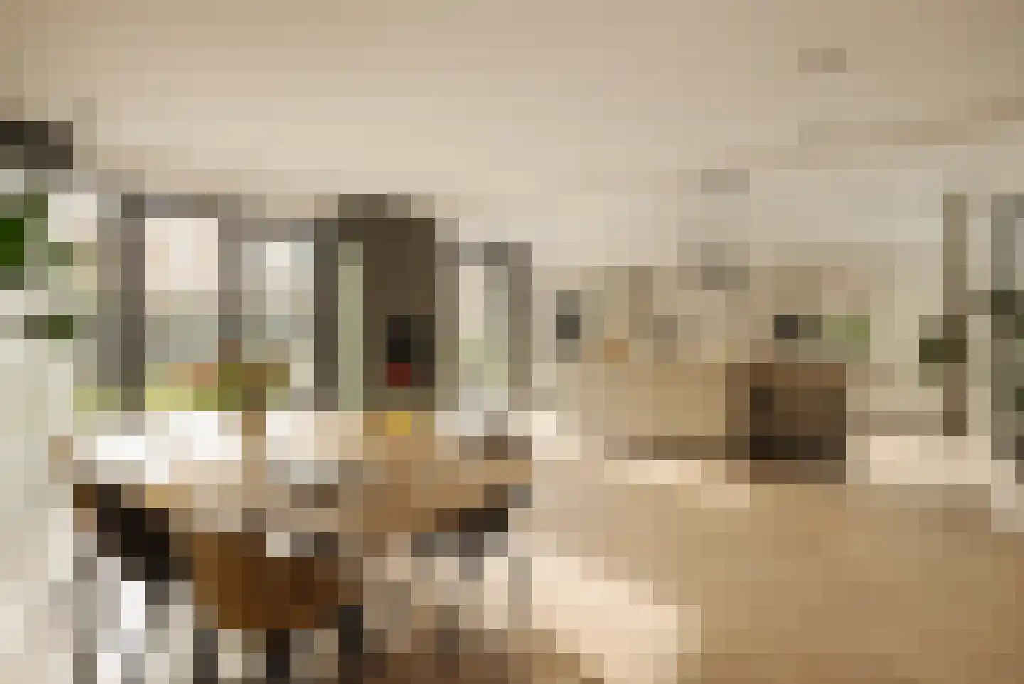 Spieringhof 18 Vijfhuizen thumbnail 7