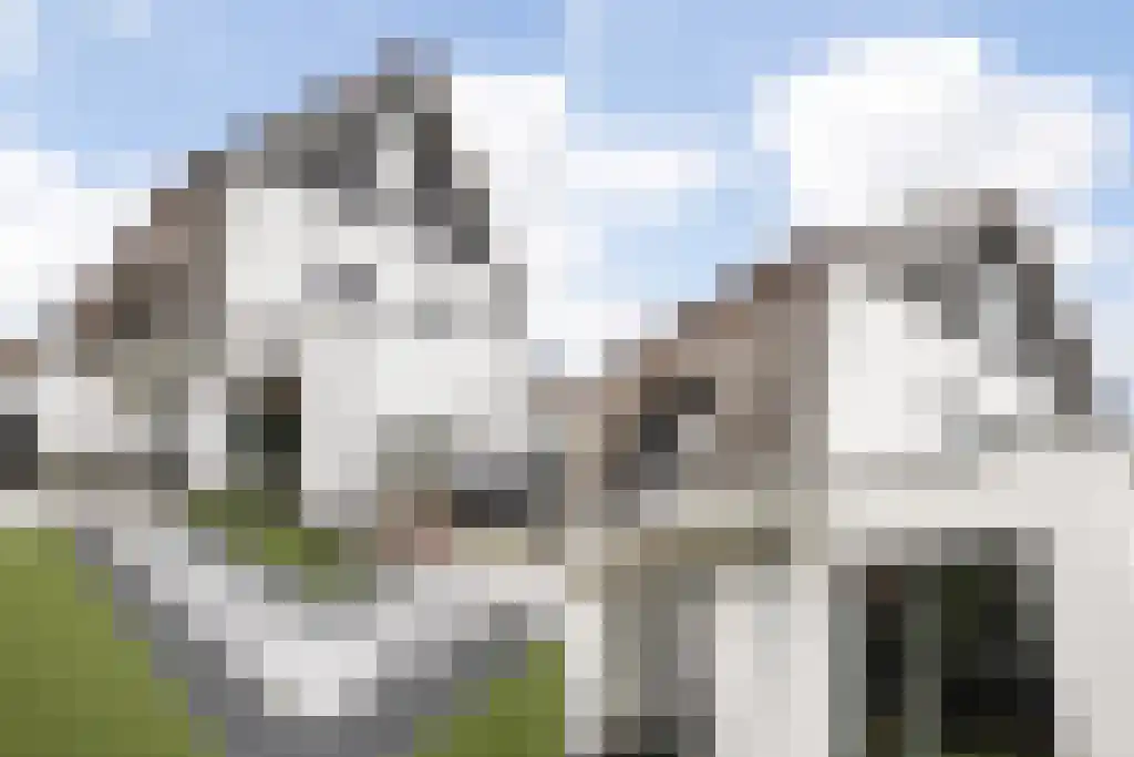 Spieringhof 6 Vijfhuizen thumbnail 5