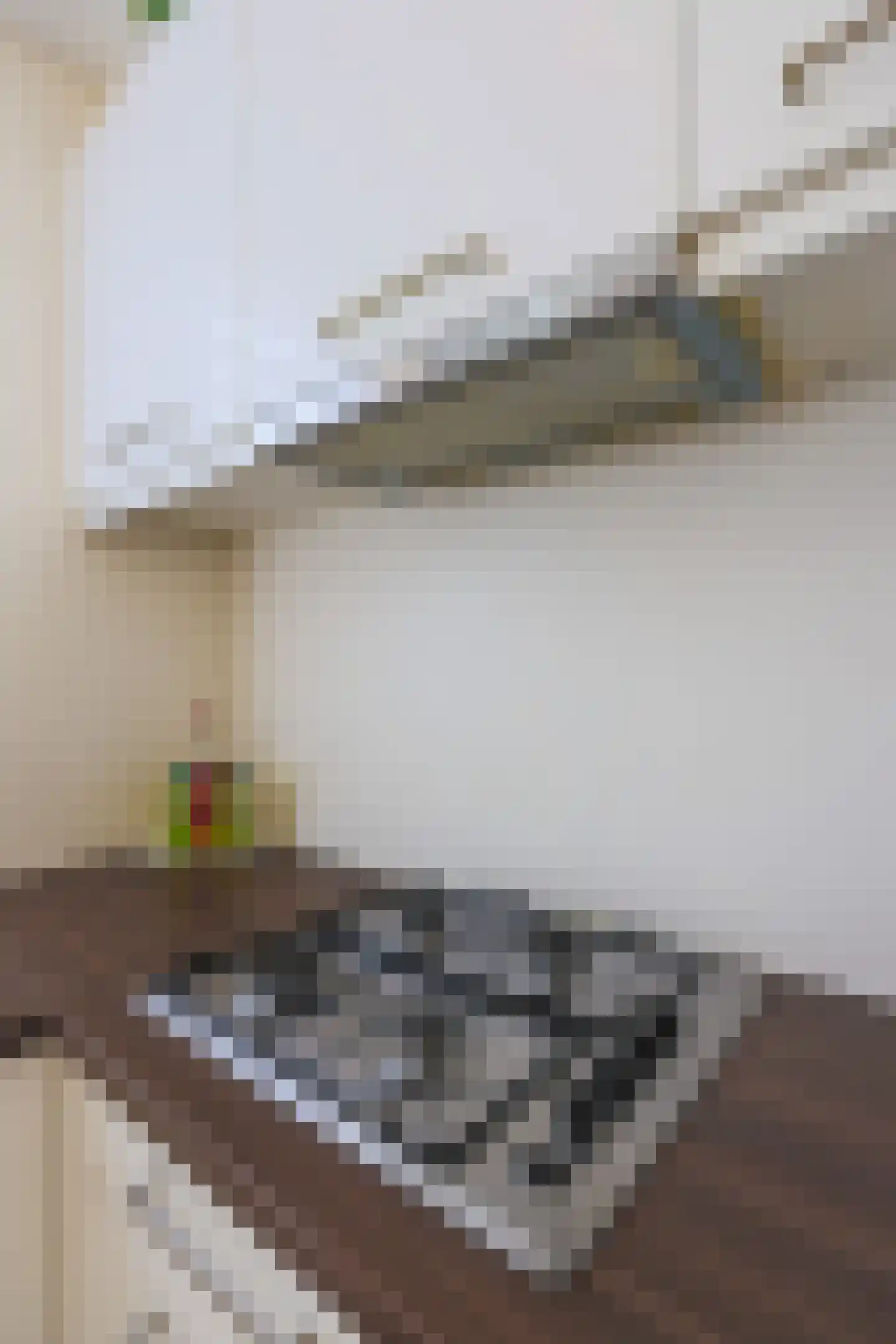 Spieringsloot 15 Zoetermeer thumbnail 10