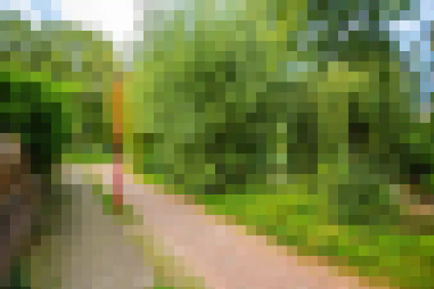 Spieringsloot 15 Zoetermeer thumbnail 44
