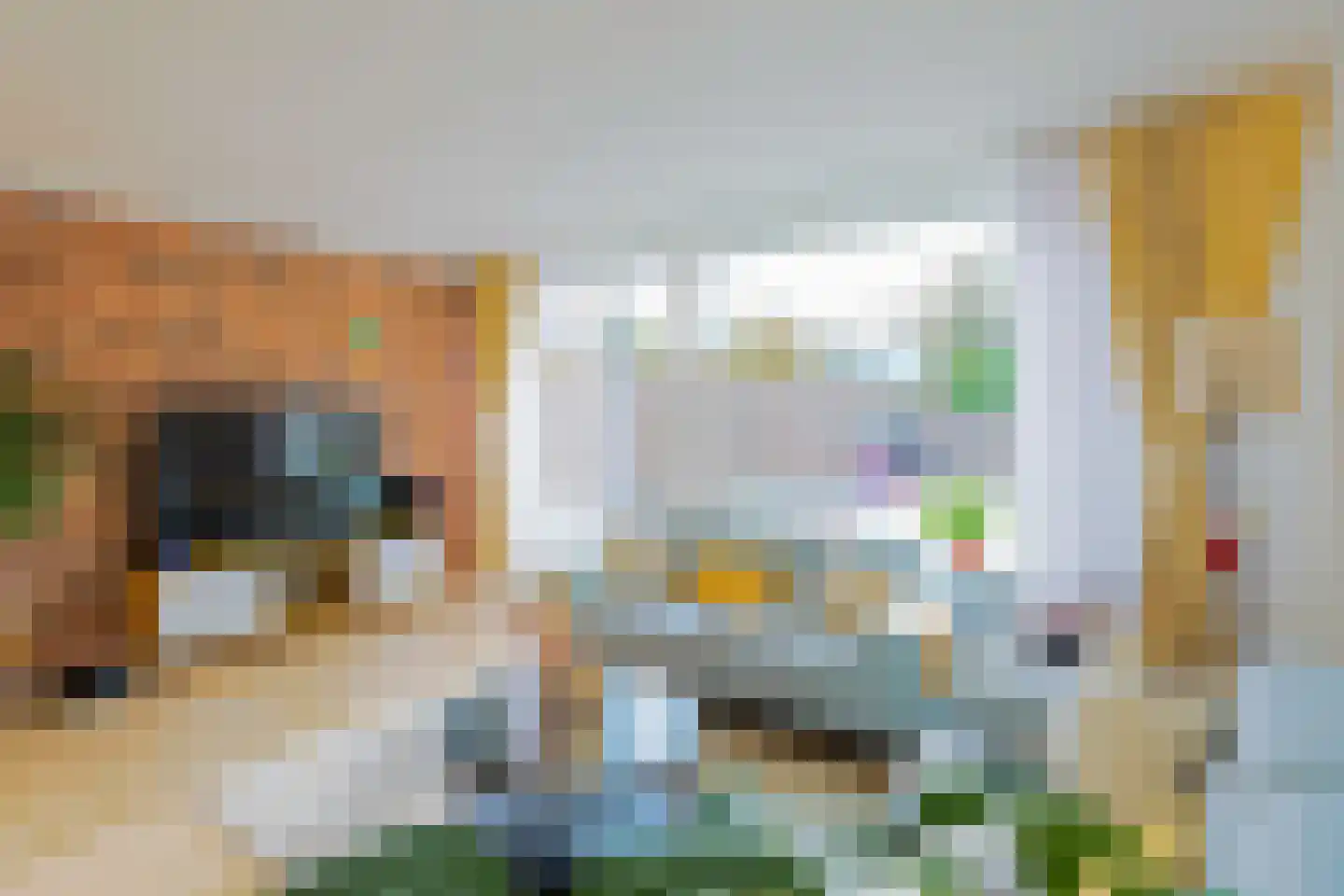 Spieringsloot 15 Zoetermeer thumbnail 6