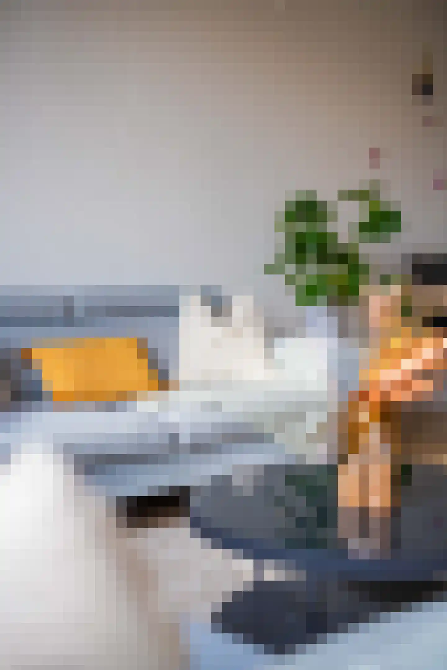 Spieringsloot 15 Zoetermeer thumbnail 8