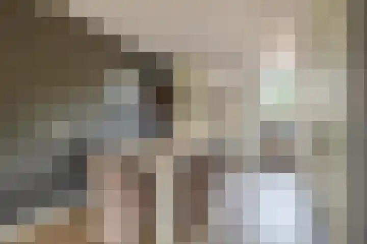 Spieringsloot 25 Zoetermeer thumbnail 17
