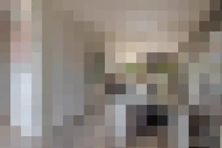 Spieringsloot 25 Zoetermeer thumbnail 18