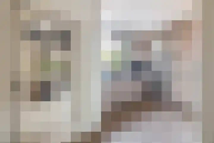 Spieringsloot 25 Zoetermeer thumbnail 19
