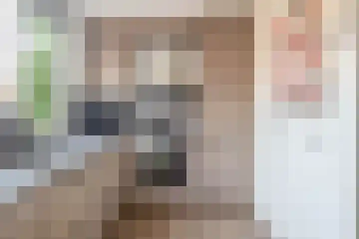 Spieringsloot 25 Zoetermeer thumbnail 20