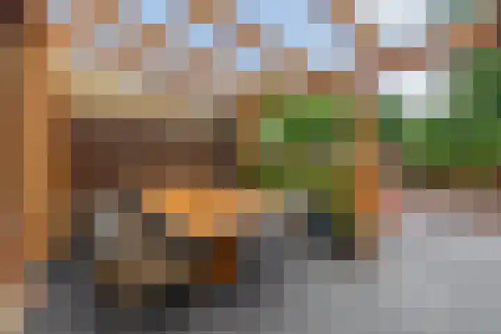 Spieringsloot 25 Zoetermeer thumbnail 23