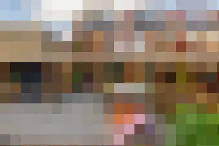 Spieringsloot 25 Zoetermeer thumbnail 25