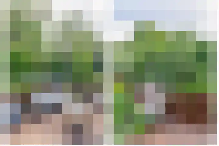 Spieringsloot 25 Zoetermeer thumbnail 28