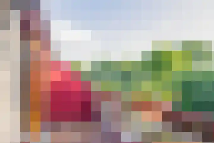 Spieringsloot 25 Zoetermeer thumbnail 32