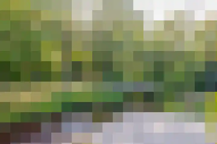 Spieringsloot 25 Zoetermeer thumbnail 33