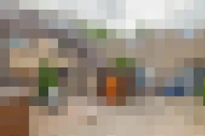 Spieringsloot 25 Zoetermeer thumbnail 5