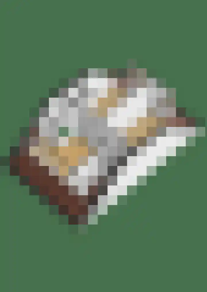 Spieringsloot 25 Zoetermeer thumbnail 50