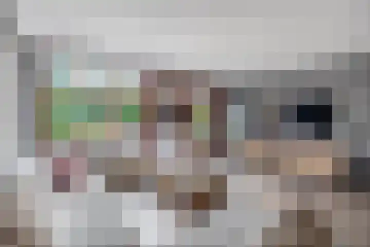 Spieringsloot 25 Zoetermeer thumbnail 7