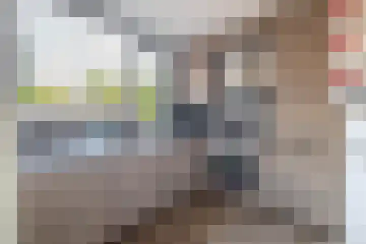 Spieringsloot 25 Zoetermeer thumbnail 8