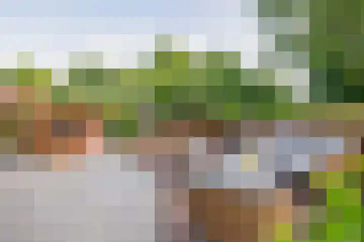 Spieringsloot 25 Zoetermeer thumbnail 9