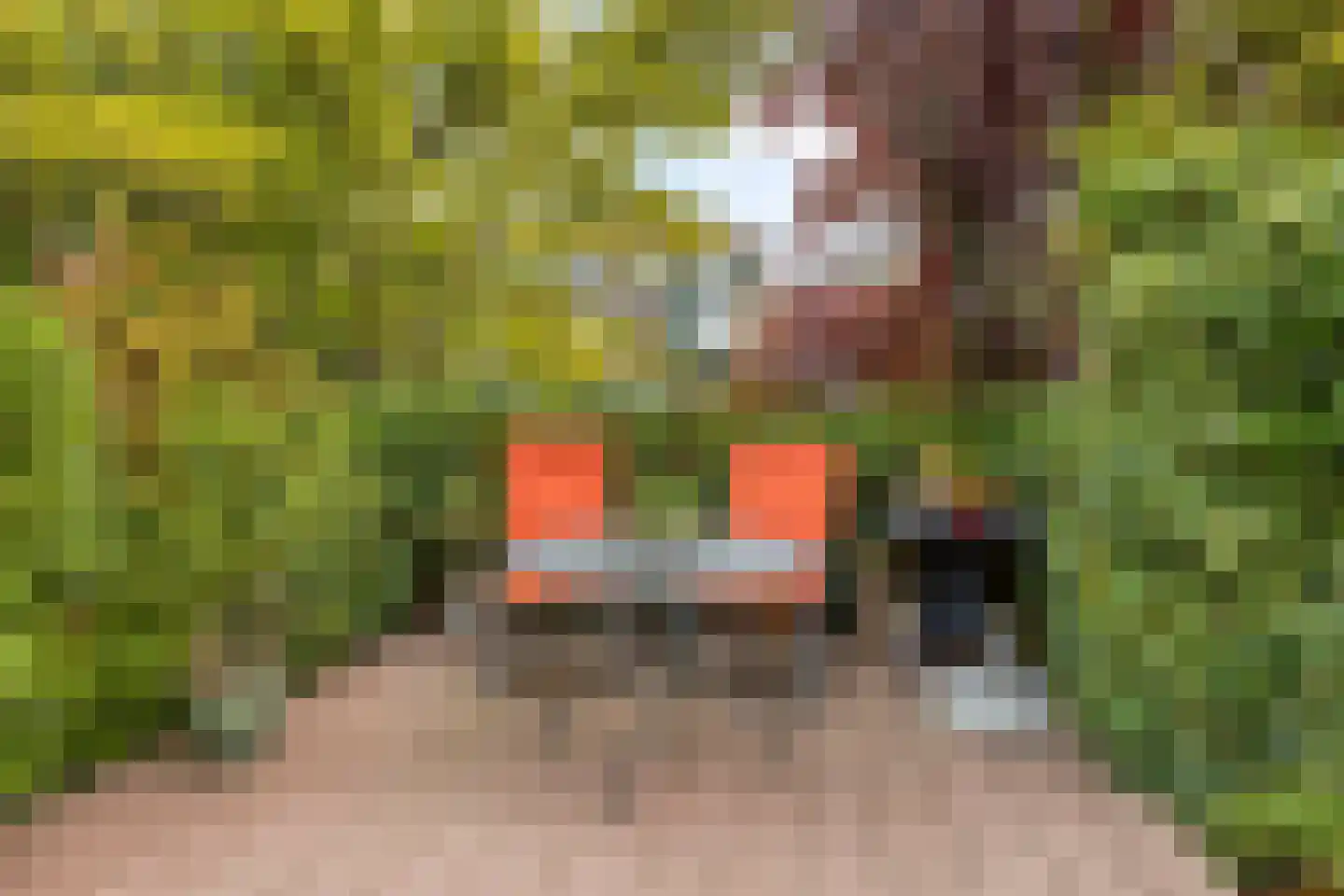 Spieringsloot 8 Zoetermeer thumbnail 10