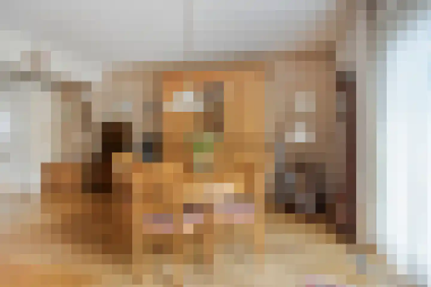 Spieringsloot 8 Zoetermeer thumbnail 12