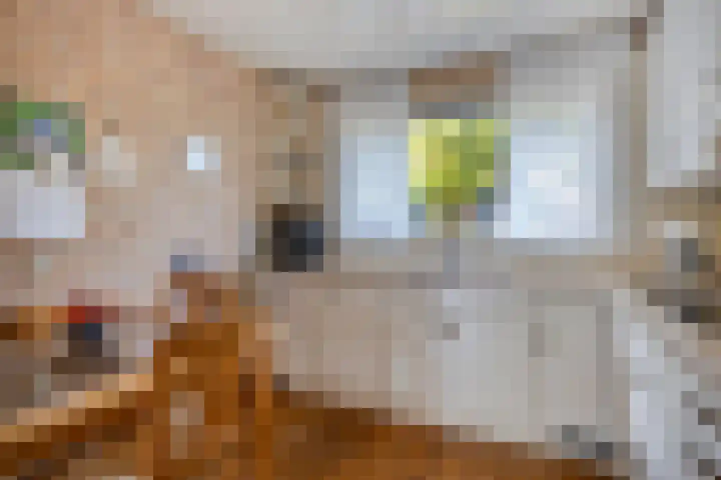 Spieringsloot 8 Zoetermeer thumbnail 16
