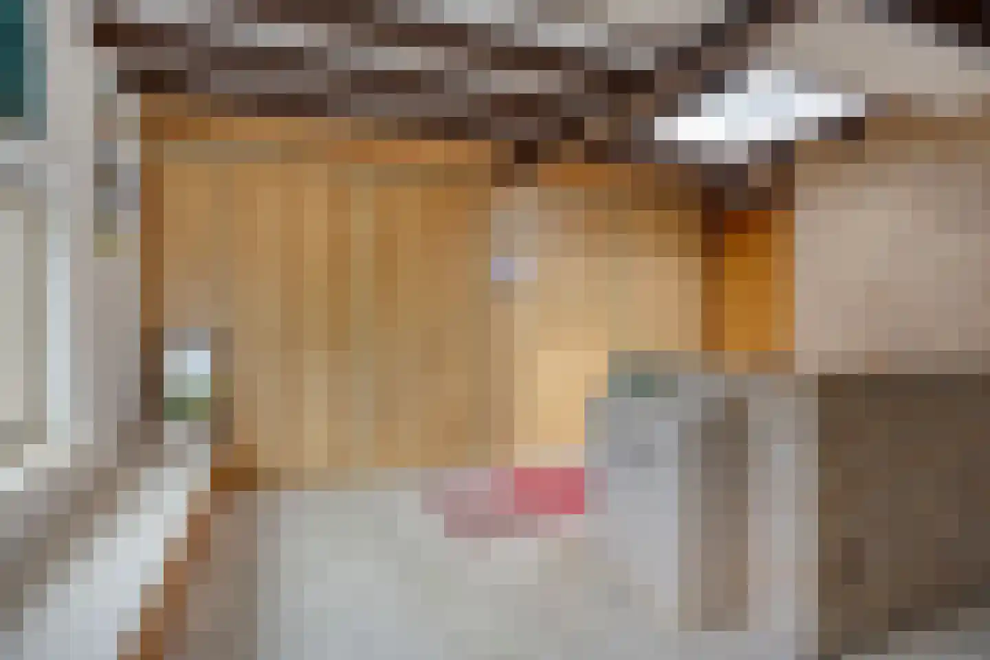 Spieringsloot 8 Zoetermeer thumbnail 38