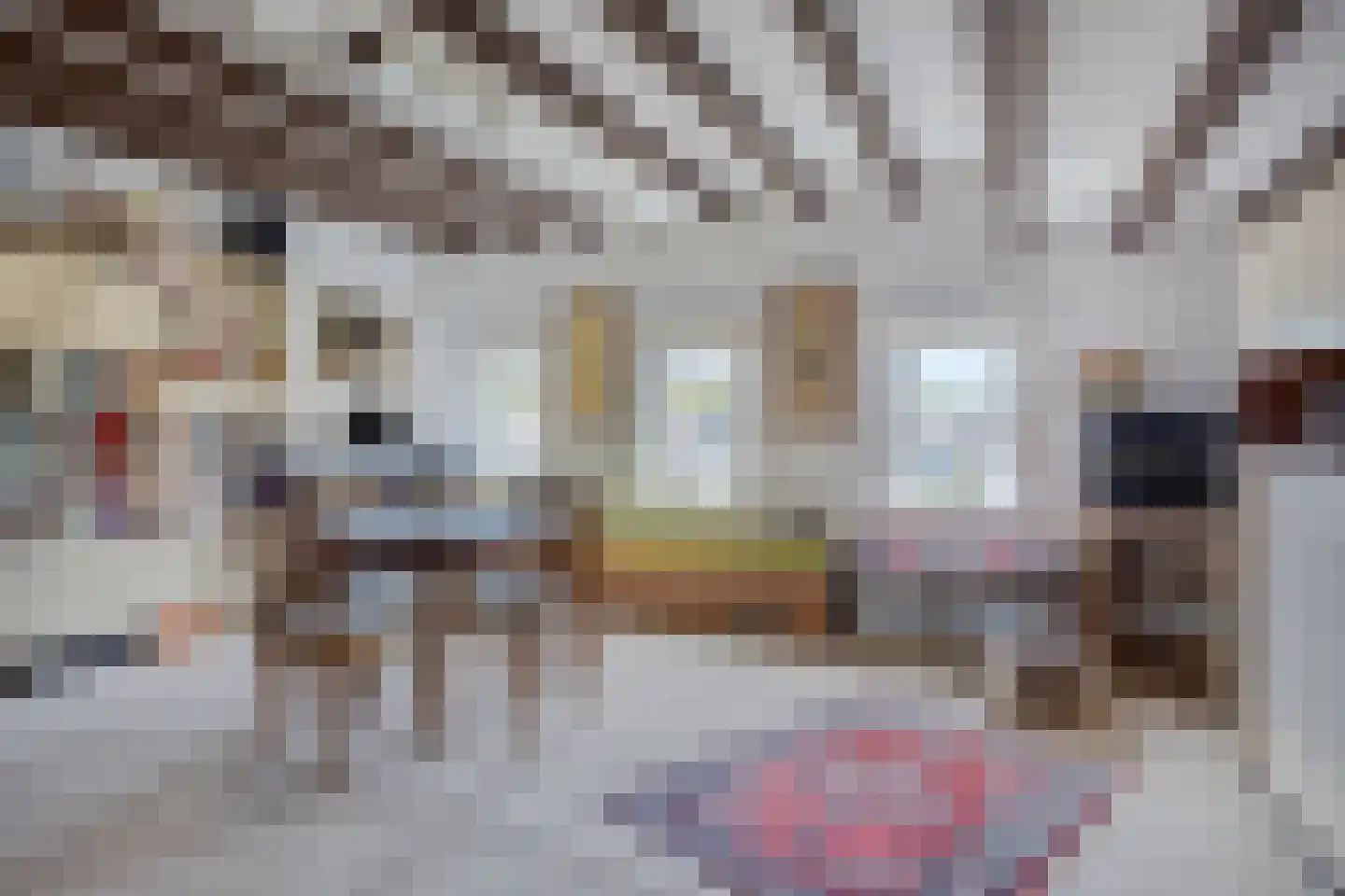 Spieringsloot 8 Zoetermeer thumbnail 42