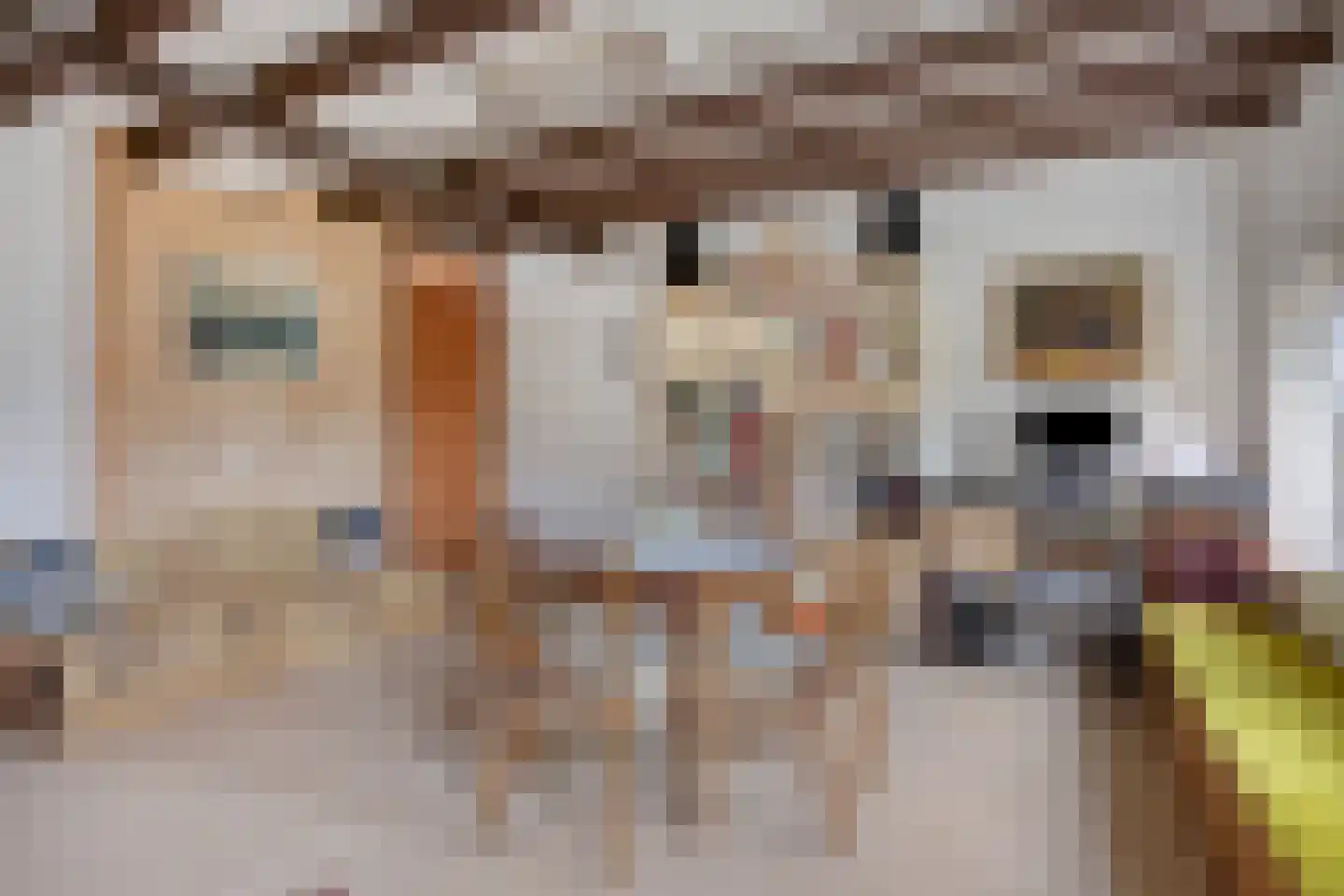 Spieringsloot 8 Zoetermeer thumbnail 43