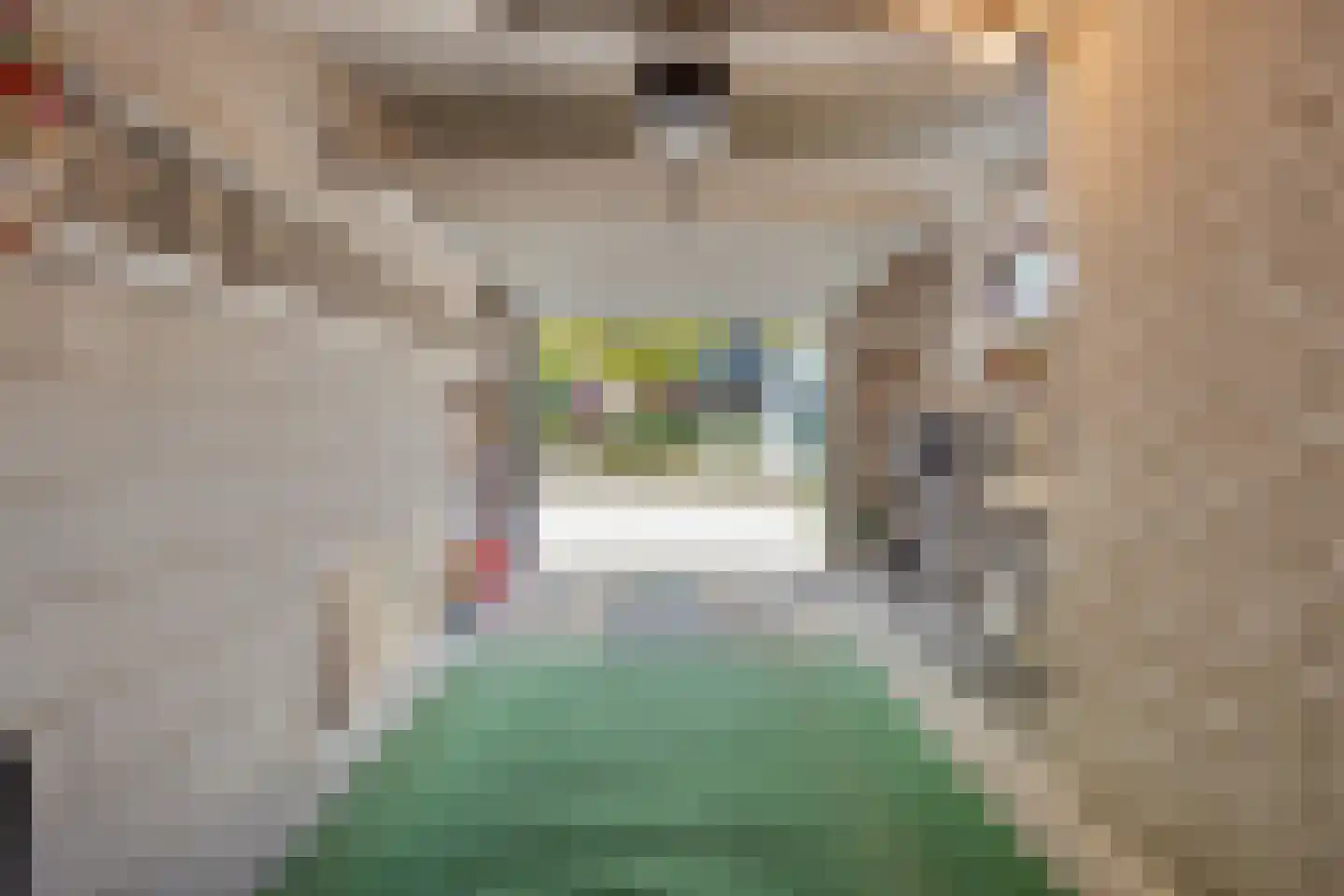 Spieringsloot 8 Zoetermeer thumbnail 47