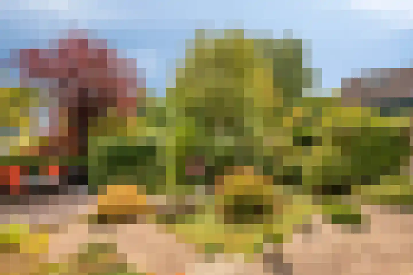 Spieringsloot 8 Zoetermeer thumbnail 5