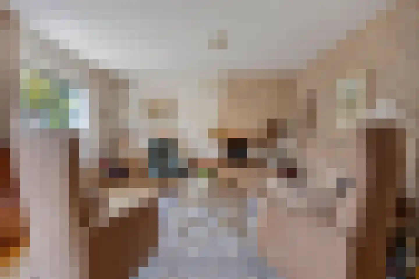 Spieringsloot 8 Zoetermeer thumbnail 6