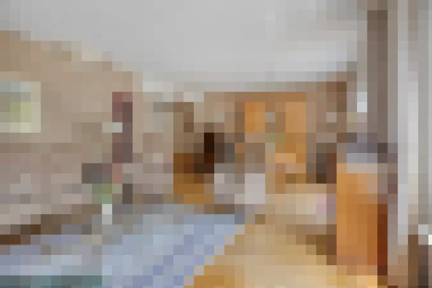 Spieringsloot 8 Zoetermeer thumbnail 7