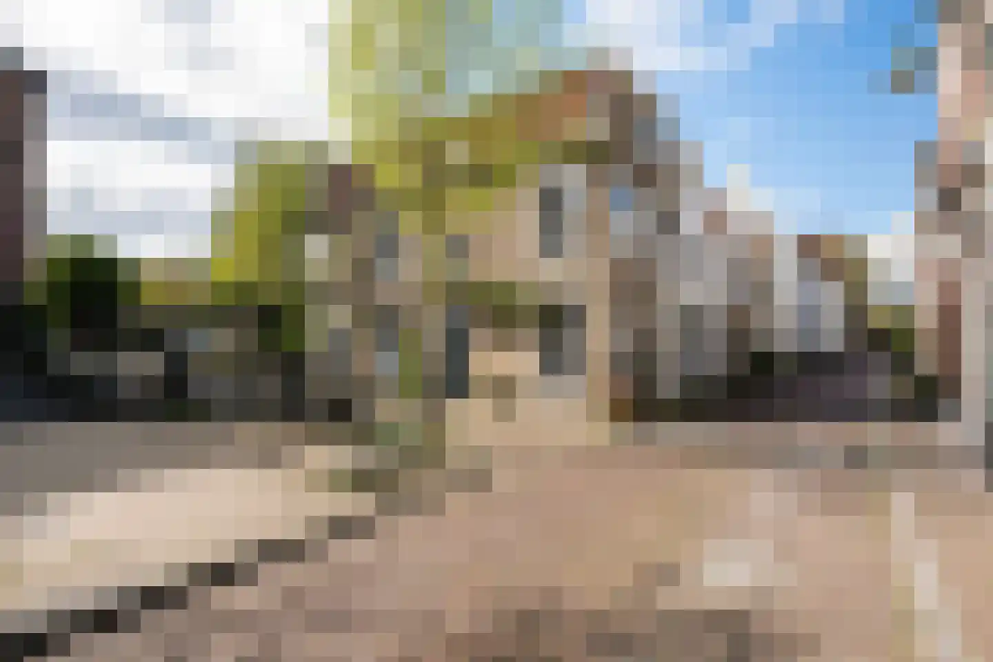 Spieringstraat 14 a Gouda thumbnail 24