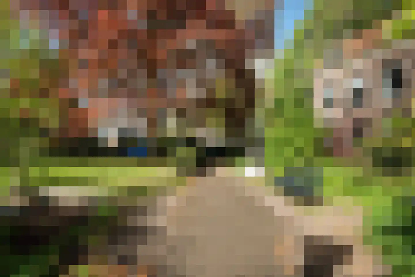 Spieringstraat 14 a Gouda thumbnail 25