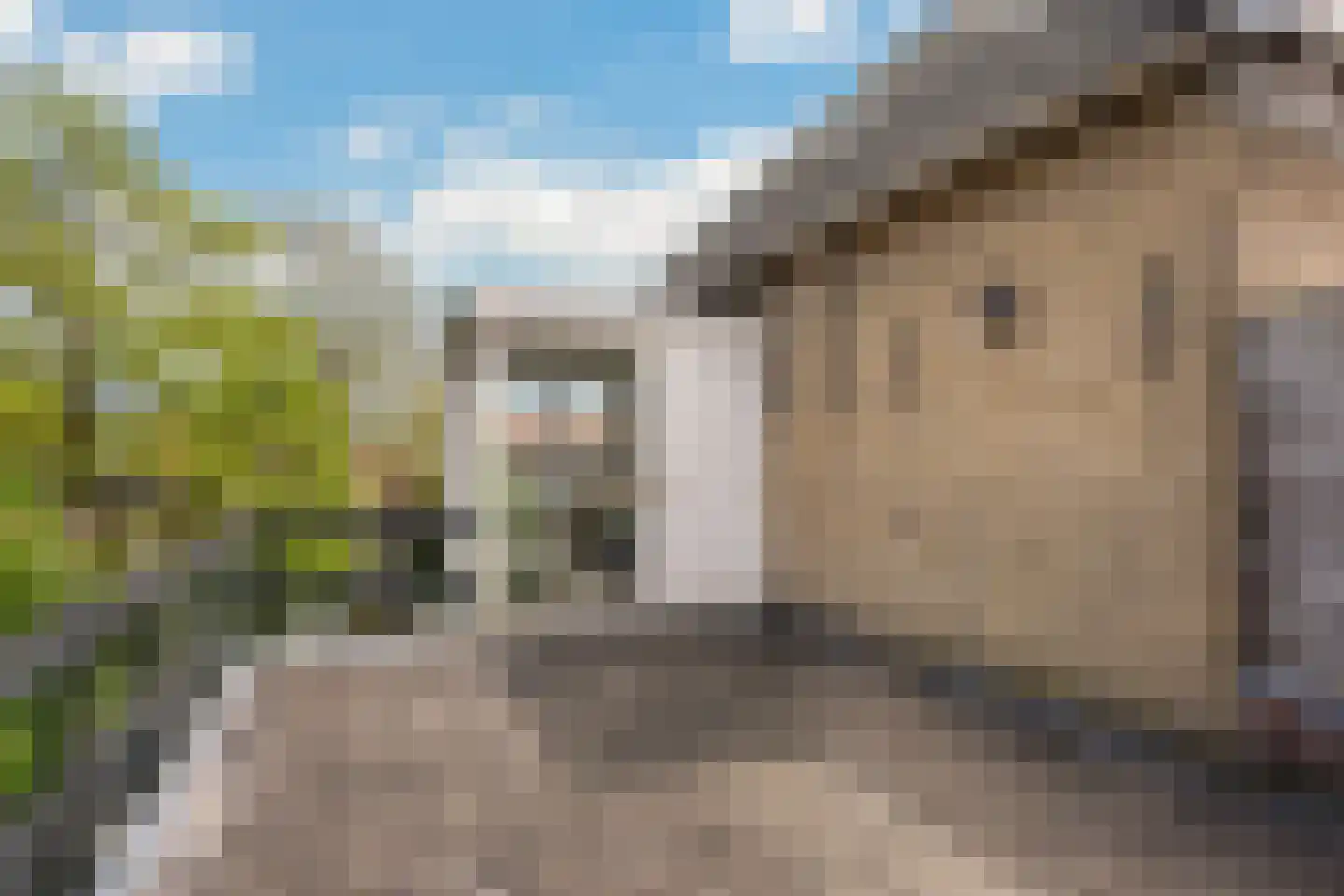 Spieringstraat 14 a Gouda thumbnail 5