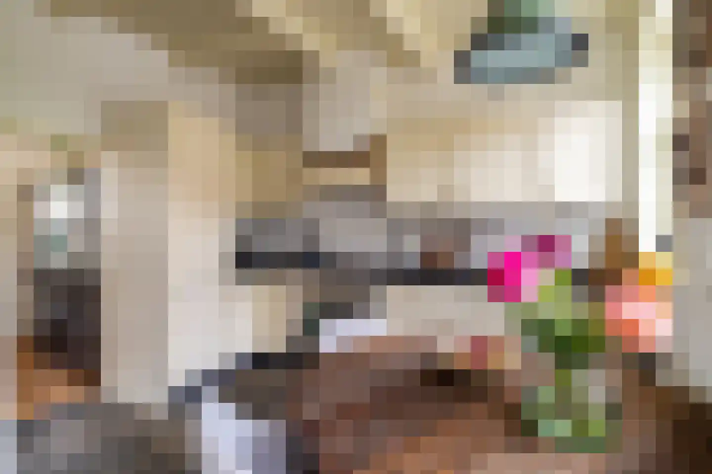 Spieringstraat 4 Woudrichem thumbnail 10