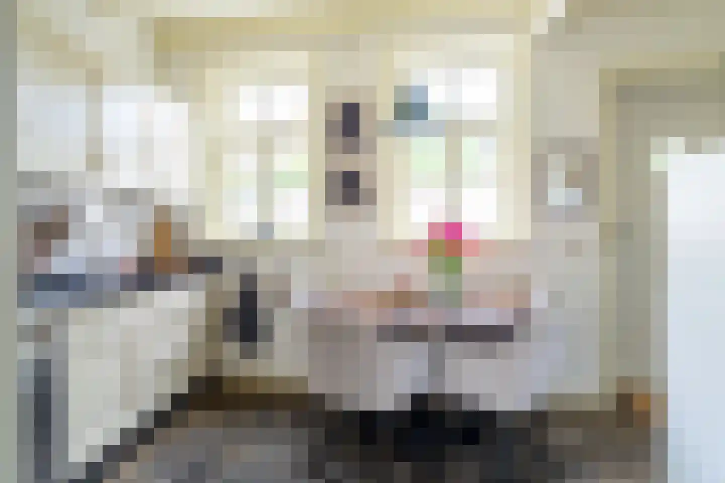 Spieringstraat 4 Woudrichem thumbnail 12