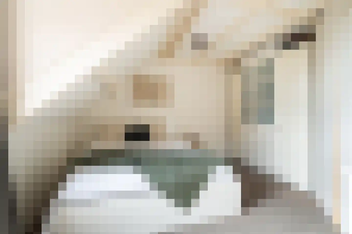 Spieringstraat 4 Woudrichem thumbnail 18