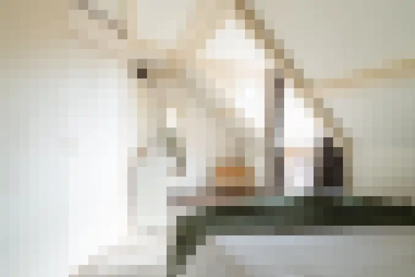 Spieringstraat 4 Woudrichem thumbnail 19