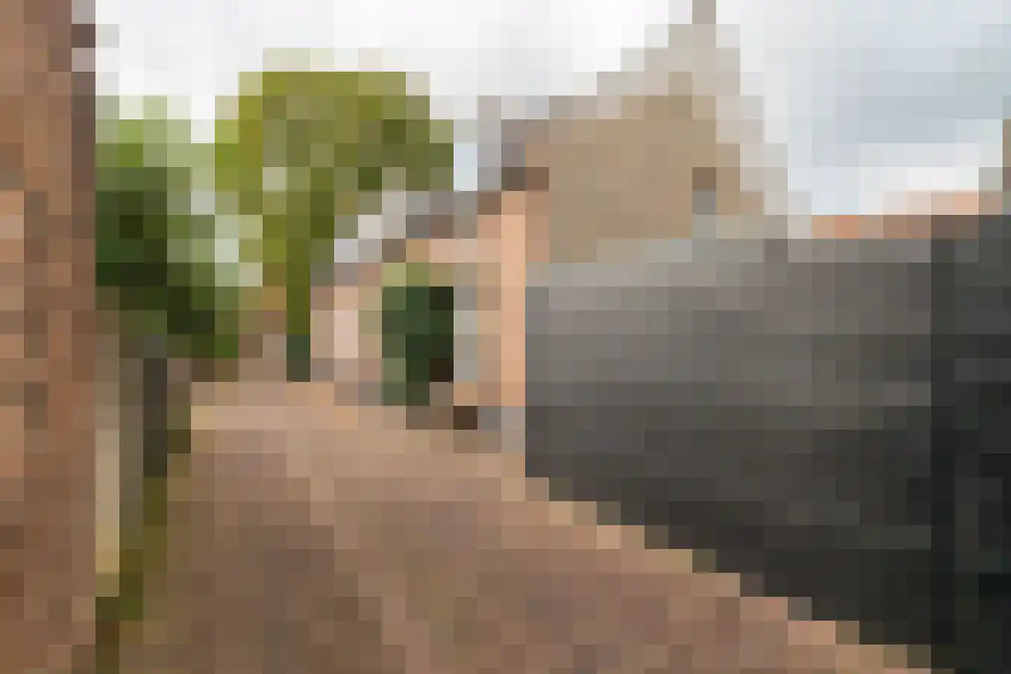 Spieringstraat 4 Woudrichem thumbnail 4