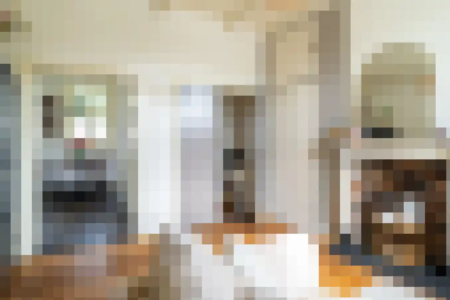Spieringstraat 4 Woudrichem thumbnail 8