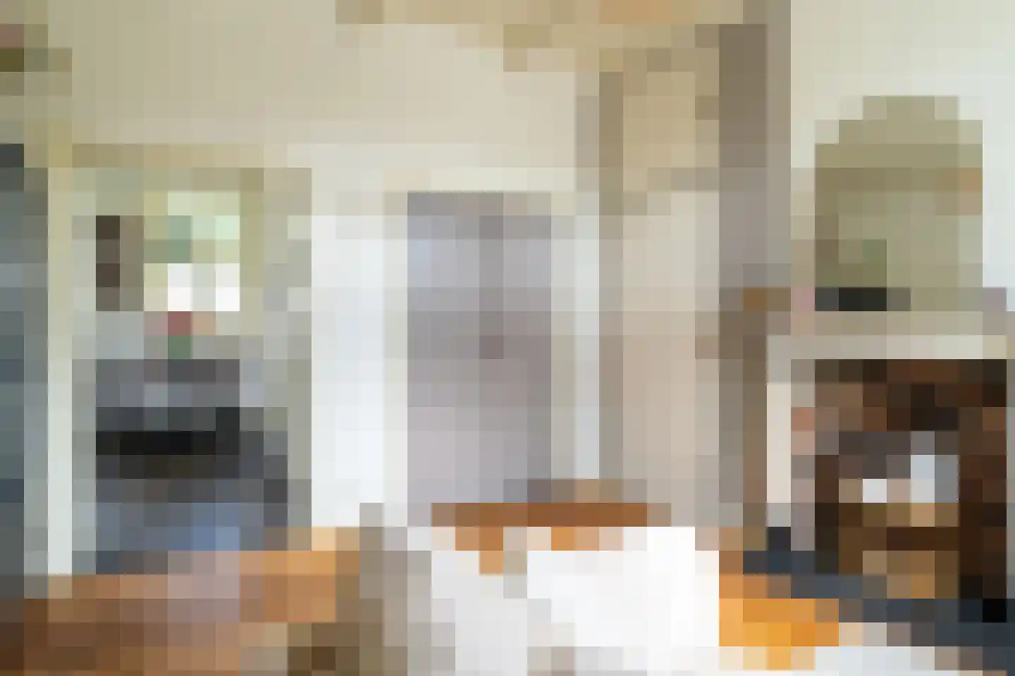 Spieringstraat 4 Woudrichem thumbnail 9