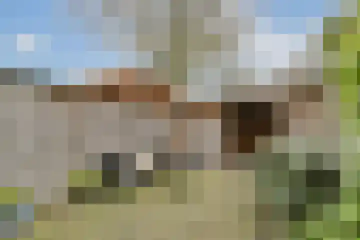 Spieringstraat 57 Gouda thumbnail 4