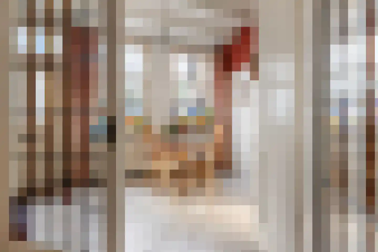 Spieringstraat 59 Gouda thumbnail 12