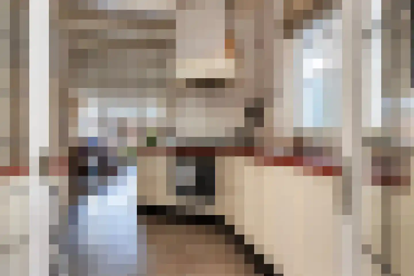Spieringstraat 59 Gouda thumbnail 14