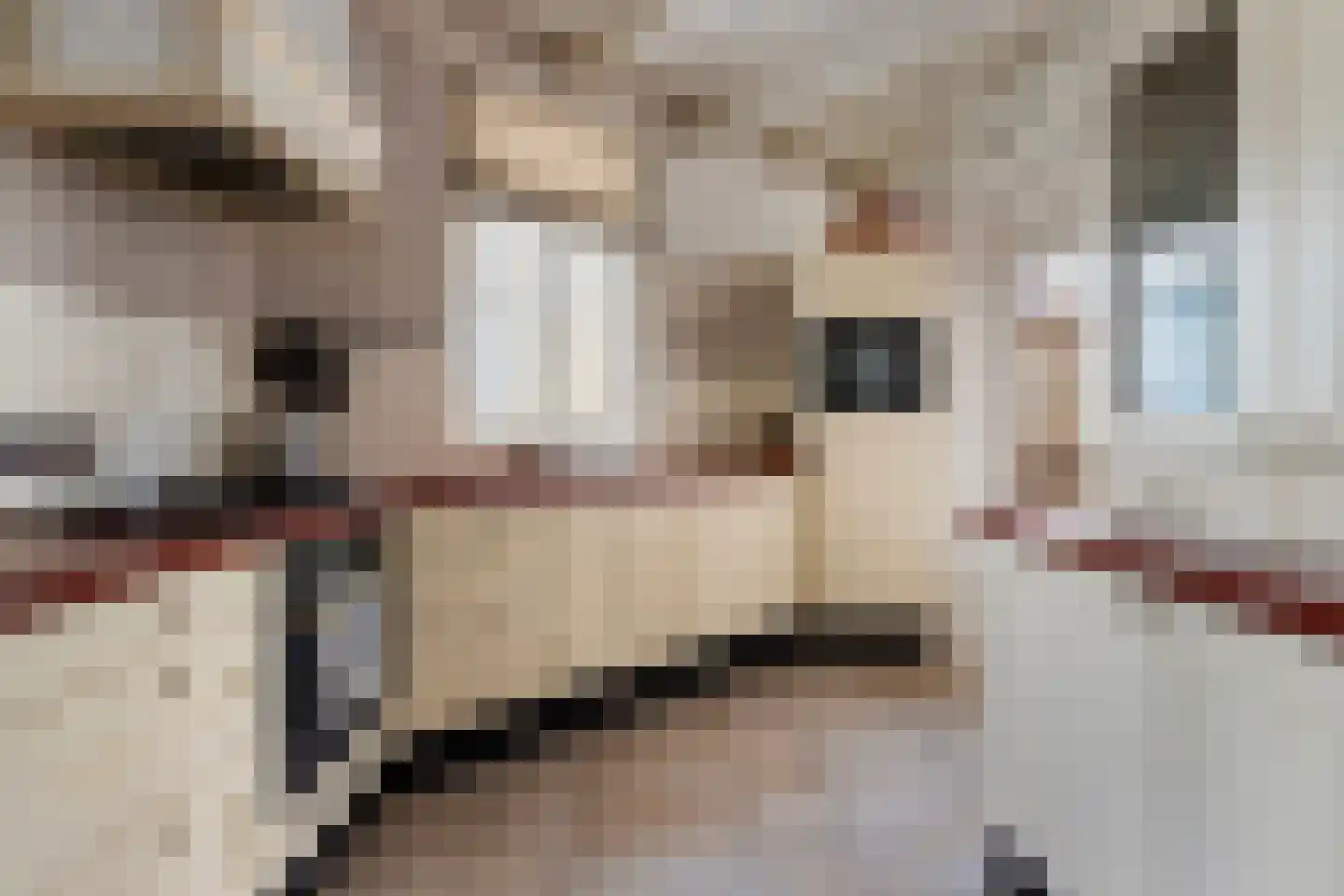 Spieringstraat 59 Gouda thumbnail 17