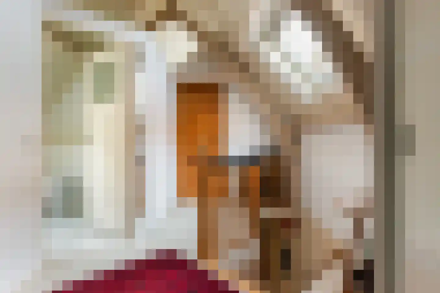 Spieringstraat 59 Gouda thumbnail 26