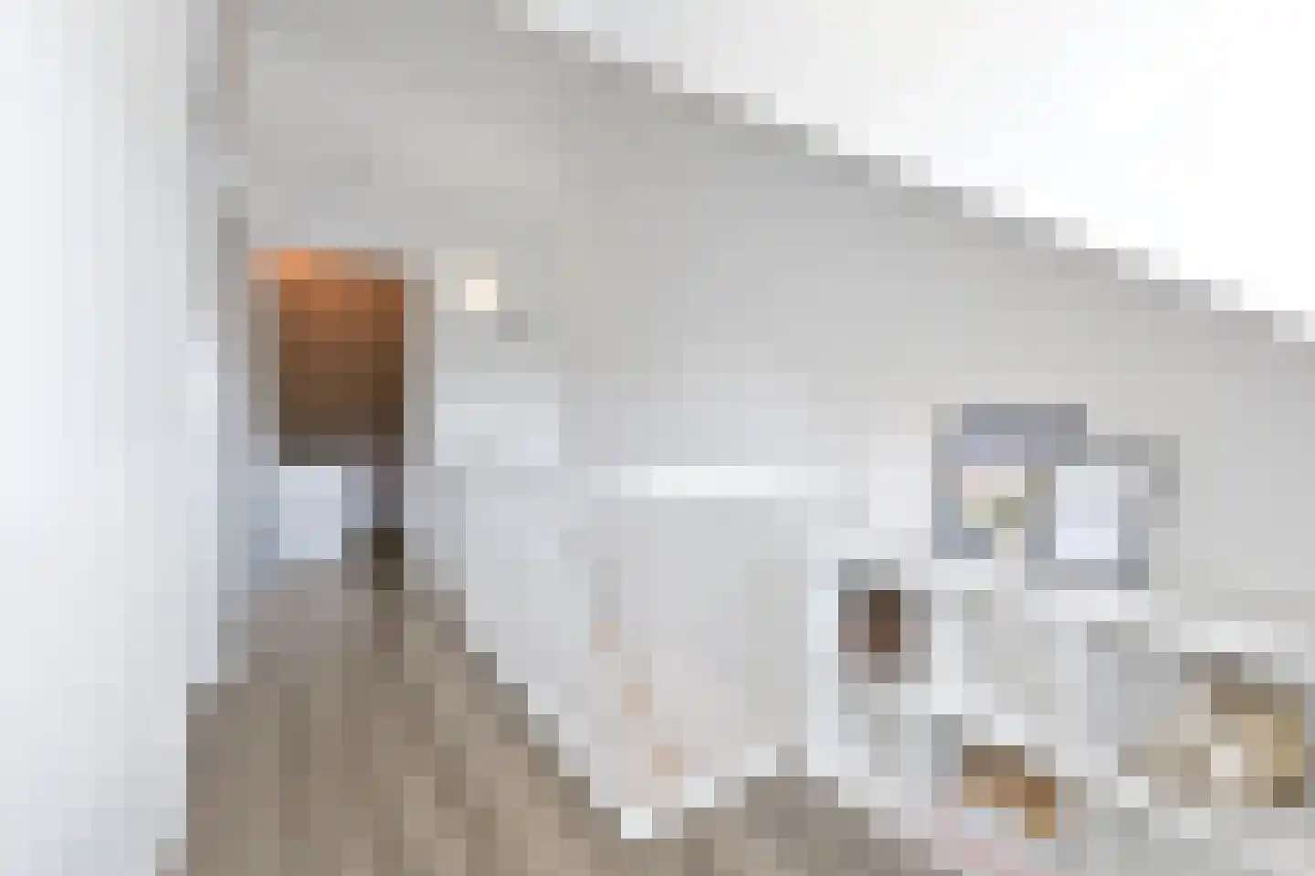 Spieringsweteringweg 37 Rijswijk thumbnail 33