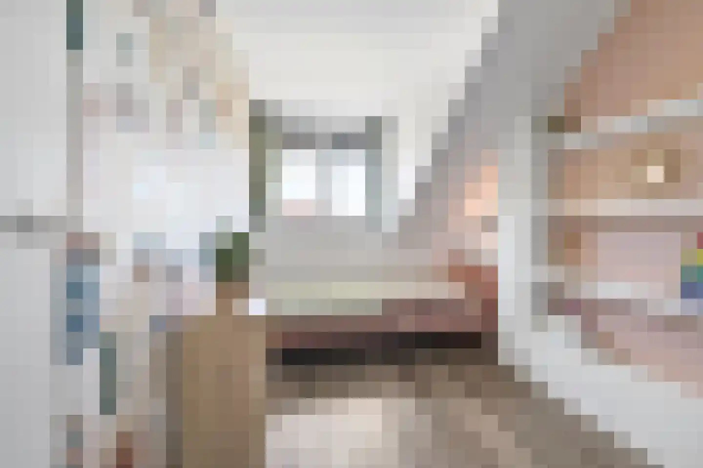 Spieringsweteringweg 37 Rijswijk thumbnail 34