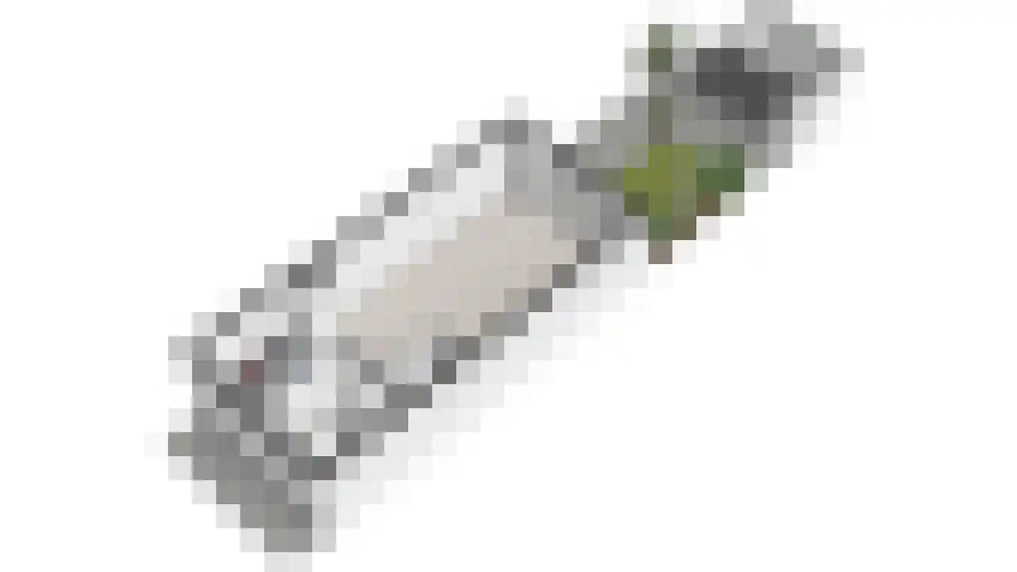 Spieringsweteringweg 37 Rijswijk thumbnail 51